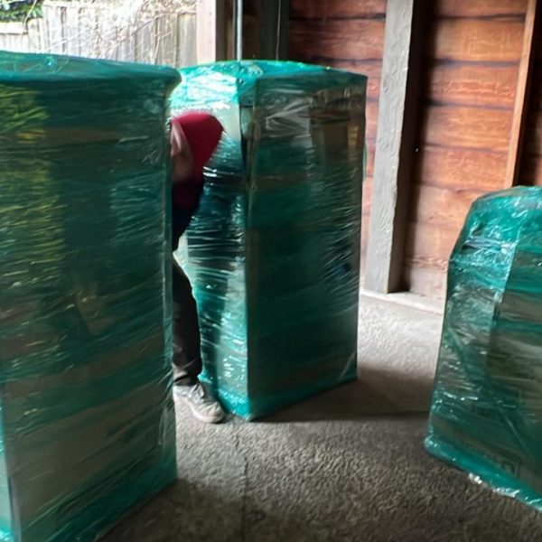 WhatsApp Image 2026-01-09 at 9.11.10 PM